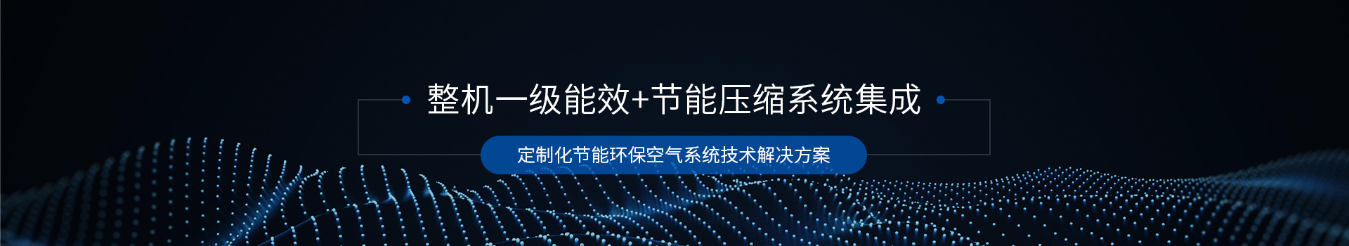 斯可絡(luò)空壓機(jī) 整機(jī)一級能效+節(jié)能壓縮系統(tǒng)集成
